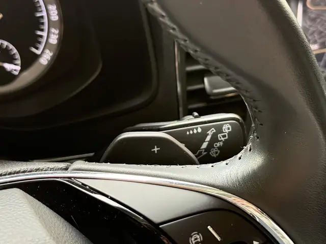 Skoda Karoq view 21