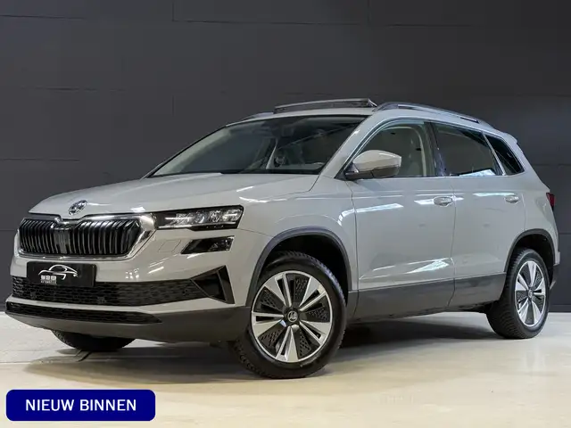 2023 Skoda Karoq in Grey for sale
