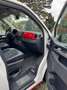 Volkswagen T6 Multivan DSG LED Prins LPG TÜV 05/27 CarPlay AA Alb - thumbnail 10