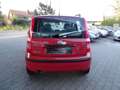 Fiat Panda 1.2 8V Dynamic"el.PANO-DACH"139 TKM"TÜV-05-2026 Rouge - thumbnail 4