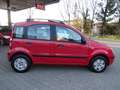 Fiat Panda 1.2 8V Dynamic"el.PANO-DACH"139 TKM"TÜV-05-2026 Rouge - thumbnail 9