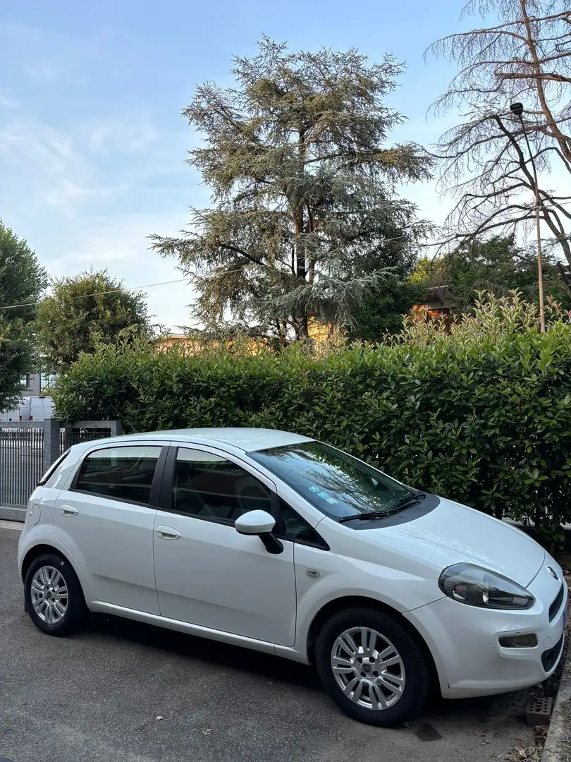 Fiat Punto 5p 1.3 mjt 16v Virgin Radio 75cv - 1