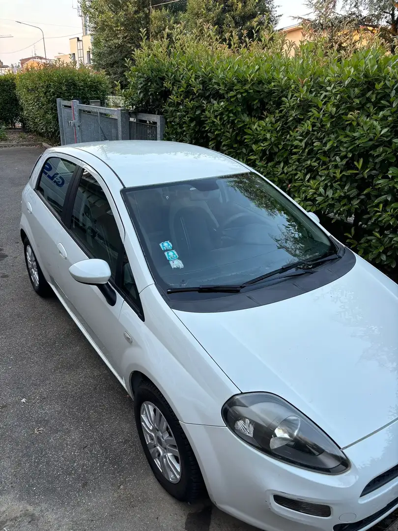 Fiat Punto 5p 1.3 mjt 16v Virgin Radio 75cv - 2