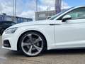 Audi A5 Coupe 2.0 TDI quattro S line Pano, 20"Rotor Weiß - thumbnail 9