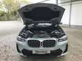BMW X4 xDrive20d M Sportpaket HiFi DAB LED WLAN RFK Grau - thumbnail 30
