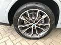 BMW X4 xDrive20d M Sportpaket HiFi DAB LED WLAN RFK Grau - thumbnail 35