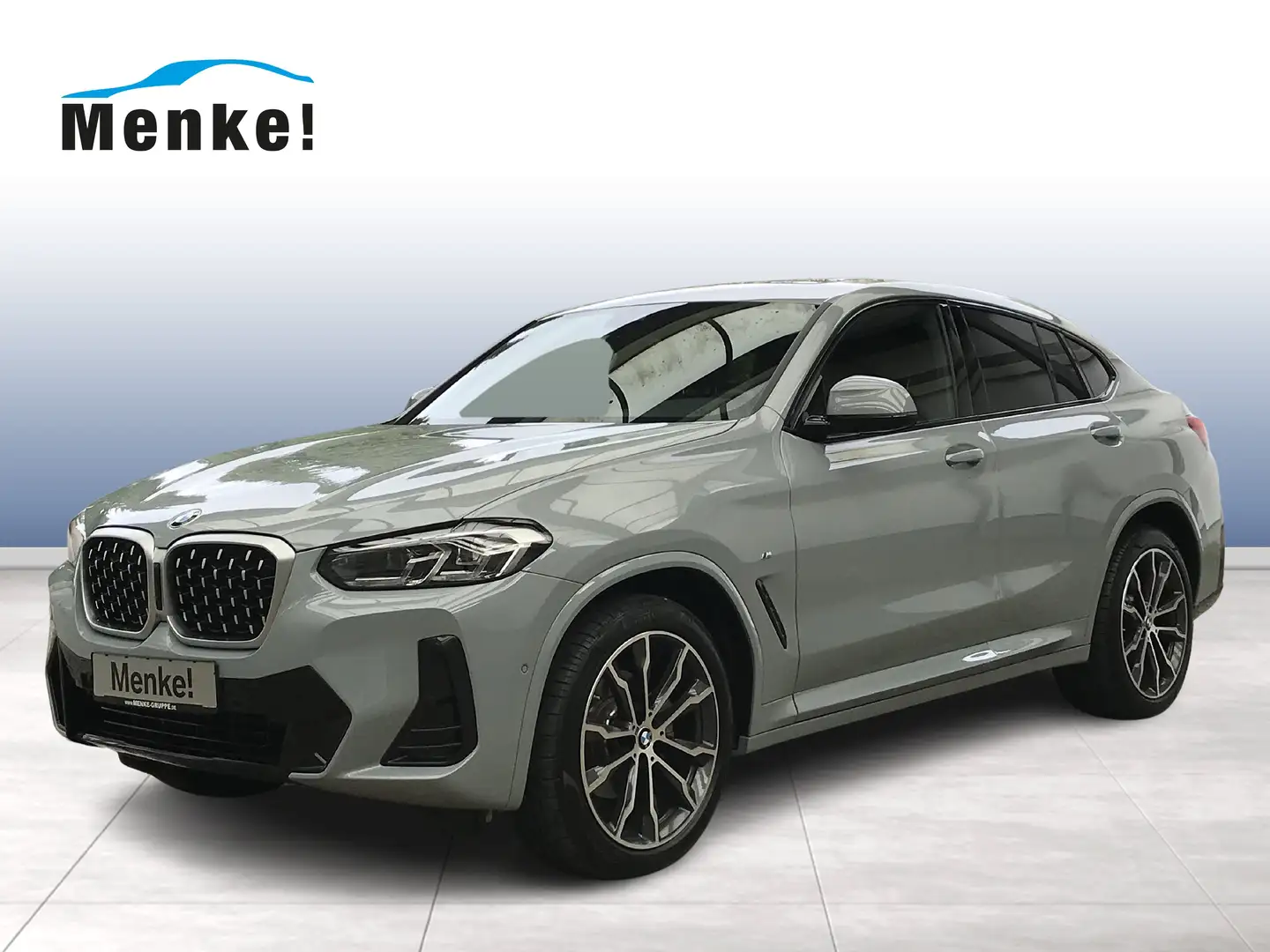 BMW X4 xDrive20d M Sportpaket HiFi DAB LED WLAN RFK Grau - 1