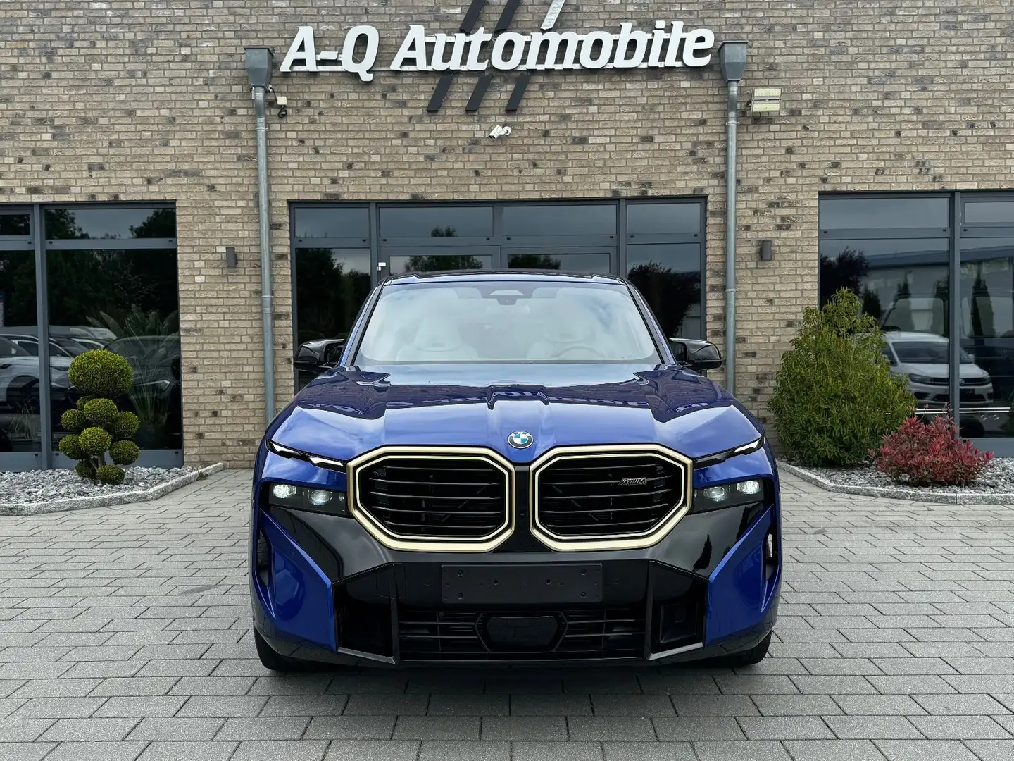 BMW XM Basis Blau - 1