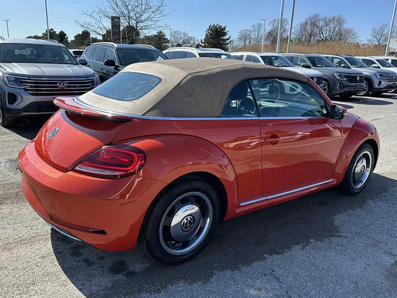 Volkswagen Beetle снимка Volkswagen Beetle