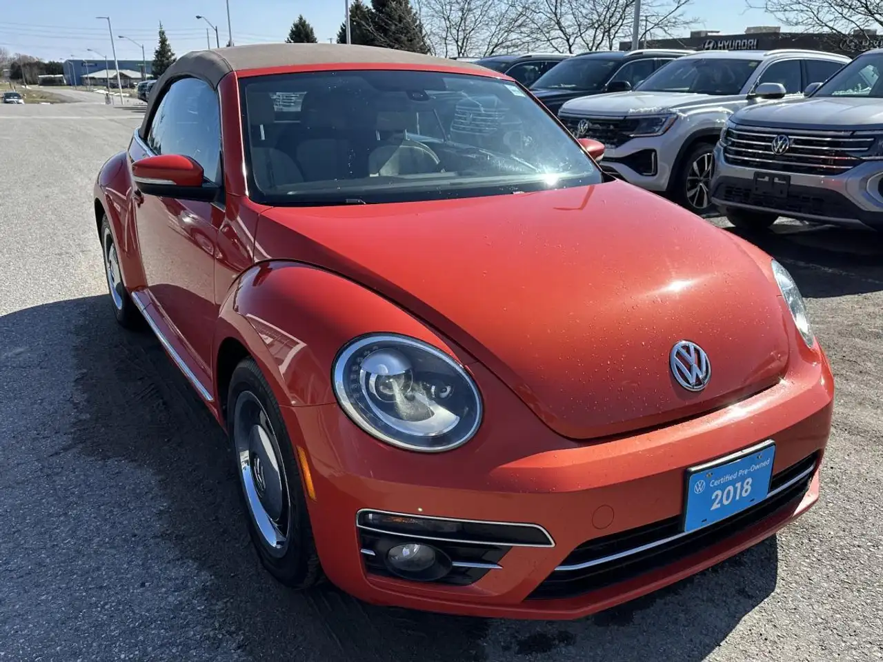 Volkswagen Beetle снимка Volkswagen Beetle