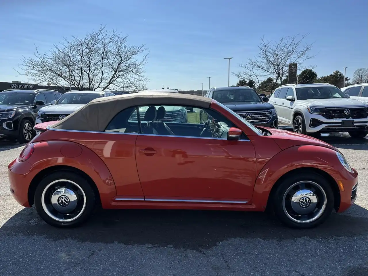 Volkswagen Beetle снимка Volkswagen Beetle