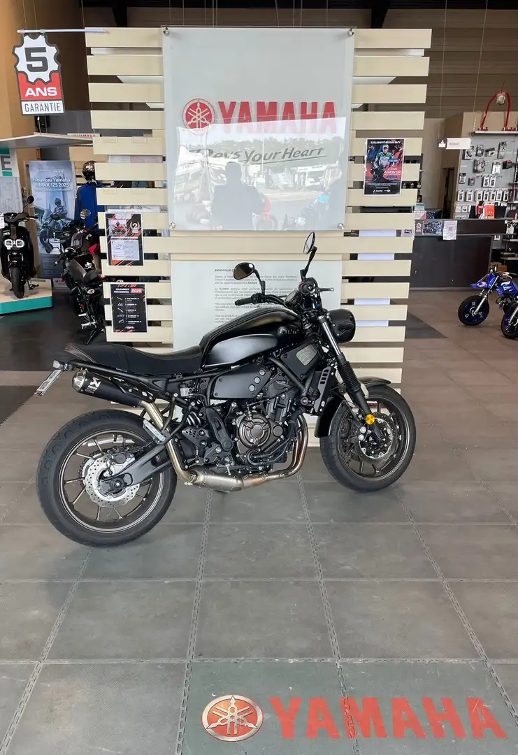 Yamaha XSR 700 - 2