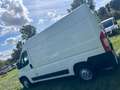 Citroen Jumper Grossraumkasten 33 L2H2 PROLINE BlueHDi 1 Weiß - thumbnail 19