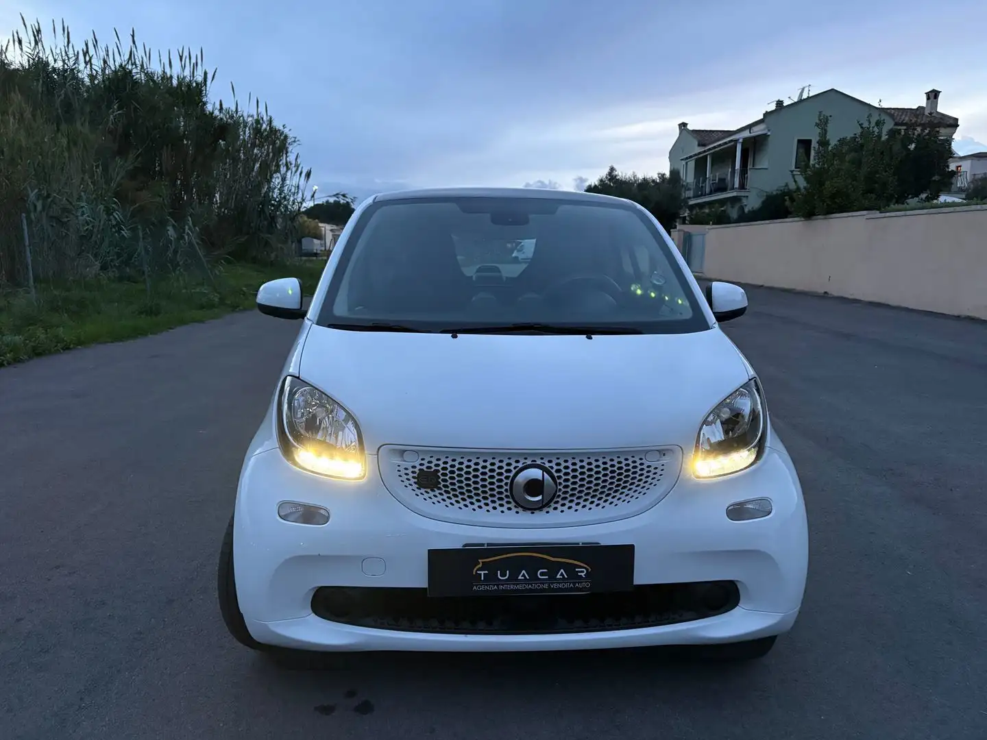 smart forTwo Passion EQ Blanc - 2