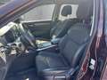 Renault Koleos dCi 150 2WD Intens X-Tronic Aut. Rot - thumbnail 8