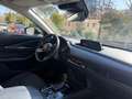 Mazda CX-30 2.0 m-hybrid Homura 2wd 150cv 6at Oro - thumbnail 11