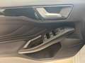 Ford Focus ST-Line X*Mild-Hybrid*Matrix*ACC*Navi*RCam Weiß - thumbnail 13