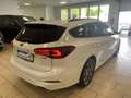 Ford Focus ST-Line X*Mild-Hybrid*Matrix*ACC*Navi*RCam Weiß - thumbnail 4