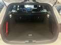 Ford Focus ST-Line X*Mild-Hybrid*Matrix*ACC*Navi*RCam Weiß - thumbnail 9