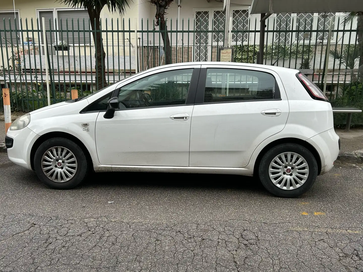 Fiat Punto Evo 5p 1.3 mjt Bianco - 1