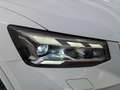 Audi Q2 35 2.0 tdi S line Edition s-tronic Weiß - thumbnail 2