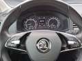 Skoda Karoq 1.5 TSI Sitzheizung AHK Klima GRA DAB+ Weiß - thumbnail 10