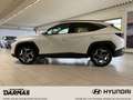 Hyundai TUCSON TUCSON Hybrid Prime 2WD Navi Leder 19 Alu Apple Weiß - thumbnail 9