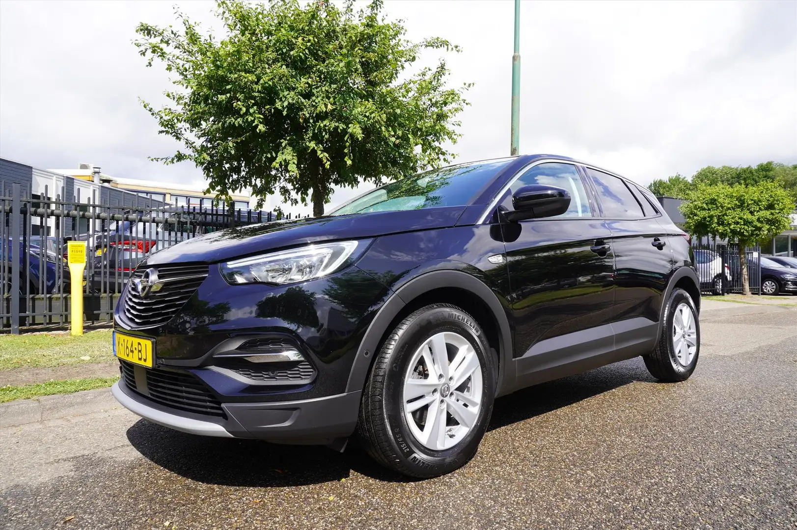 Opel Grandland X 1.2 Turbo 130pk S&S Business Executive Navigatie Noir - 1