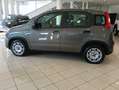 Fiat Panda Panda III 2021 1.2 easypower Gpl s Grigio - thumbnail 8