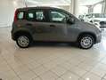 Fiat Panda Panda III 2021 1.2 easypower Gpl s Grigio - thumbnail 4