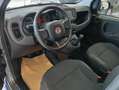 Fiat Panda Panda III 2021 1.2 easypower Gpl s Grigio - thumbnail 9