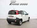 Fiat Panda 1.0 GSE S&S Hybrid Pop Van 2 PREZZO + IVA Bianco - thumbnail 3