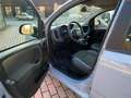 Fiat Panda Panda III 2016 1.2 Easy 5P. Grigio - thumbnail 5
