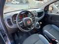 Fiat Panda Panda III 2016 1.2 Easy 5P. Grigio - thumbnail 7