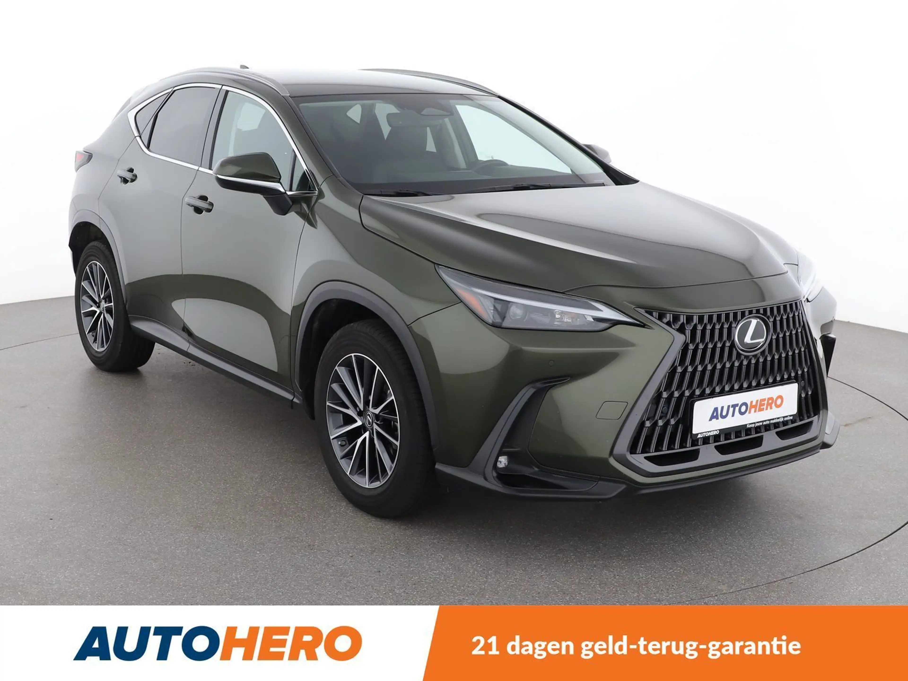 Lexus NX 350h NX 350h E-Four — photo 8