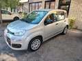 Fiat Panda 1.2 EasyPower Lounge NEOPATENTATI Argento - thumbnail 4