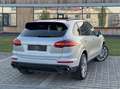 Porsche Cayenne II Platinum Edition 3,0 Aut.*APPROVED, PANO, LUFT* Silber - thumbnail 6