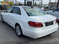Mercedes-Benz E 400 Elegance Autom. 333PS Panoramadach PICKERL 09/26 Weiß - thumbnail 3