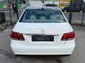Mercedes-Benz E 400 Elegance Autom. 333PS Panoramadach PICKERL 09/26 Weiß - thumbnail 14