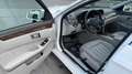 Mercedes-Benz E 400 Elegance Autom. 333PS Panoramadach PICKERL 09/26 Weiß - thumbnail 11
