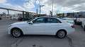 Mercedes-Benz E 400 Elegance Autom. 333PS Panoramadach PICKERL 09/26 Weiß - thumbnail 12