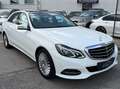 Mercedes-Benz E 400 Elegance Autom. 333PS Panoramadach PICKERL 09/26 Weiß - thumbnail 1