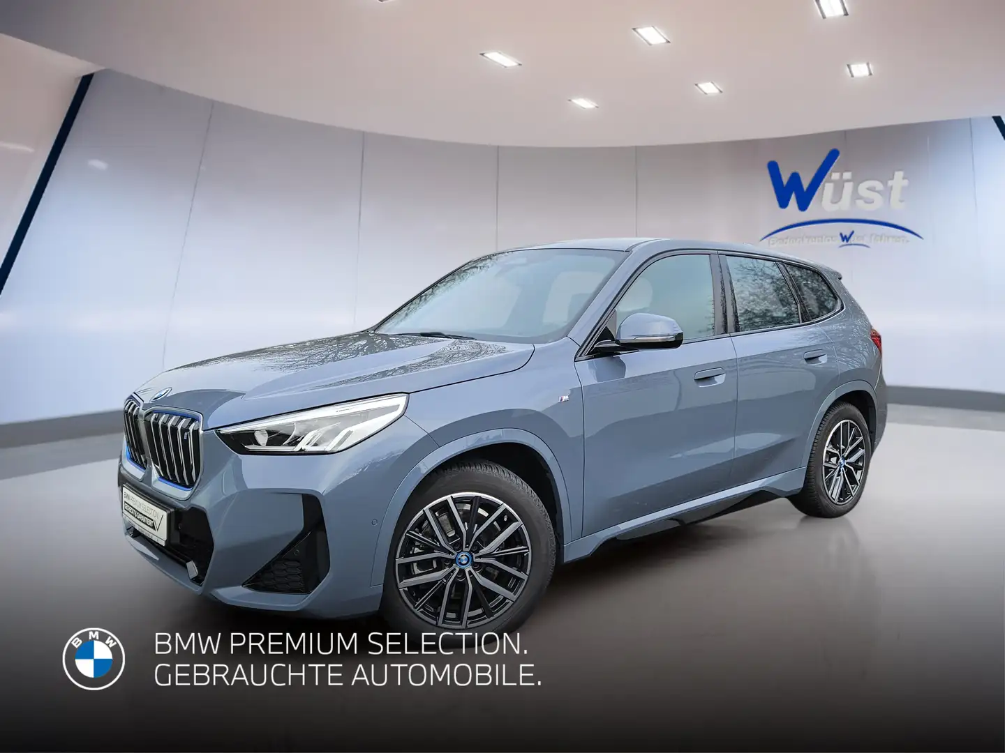 BMW iX1 xDrive30 1.HAND | M-PAKET | LENKRADHEIZUNG Gris - 1