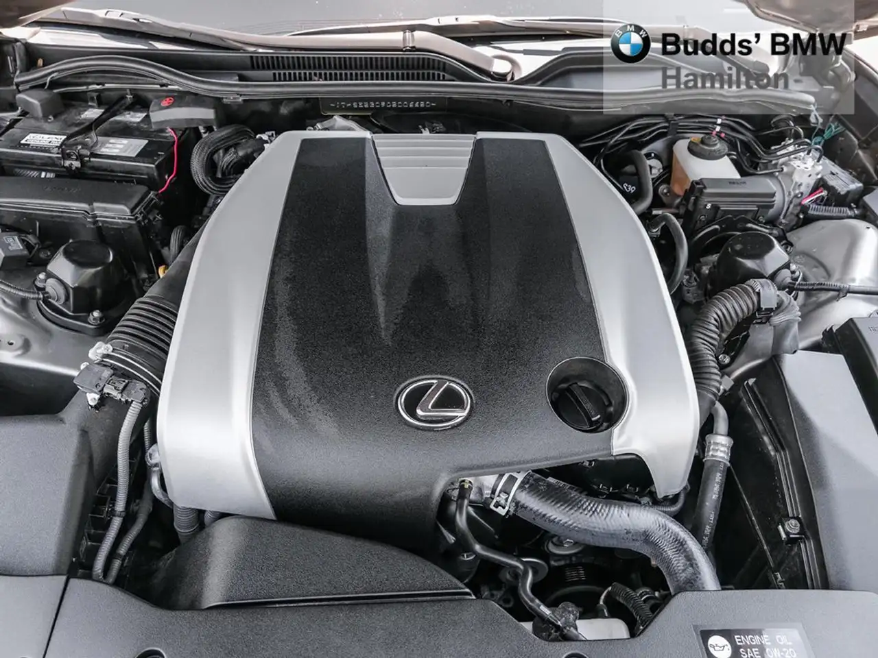 Lexus RC photo Lexus RC