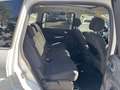 Ford S-Max S-MAX Trend 7 Sitze Panorama  AHK PDC Weiß - thumbnail 22
