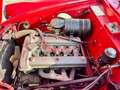 Alfa Romeo Giulietta Sprint Coupè 1.3 Litri Bialbero - Carr. Bertone Rouge - thumbnail 18