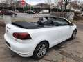 Volkswagen Golf Cabriolet Golf VI Cabrio Cabrio 1.2 TSI /Teilleder-Alcantara Weiß - thumbnail 9