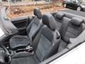Volkswagen Golf Cabriolet Golf VI Cabrio Cabrio 1.2 TSI /Teilleder-Alcantara Weiß - thumbnail 12