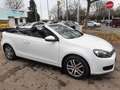 Volkswagen Golf Cabriolet Golf VI Cabrio Cabrio 1.2 TSI /Teilleder-Alcantara Weiß - thumbnail 10