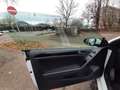 Volkswagen Golf Cabriolet Golf VI Cabrio Cabrio 1.2 TSI /Teilleder-Alcantara Weiß - thumbnail 17